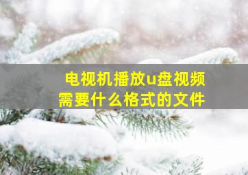 电视机播放u盘视频需要什么格式的文件