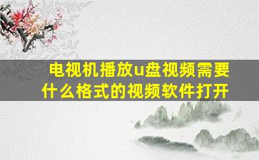 电视机播放u盘视频需要什么格式的视频软件打开