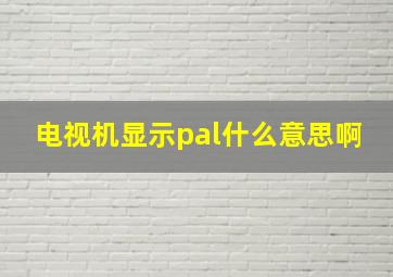 电视机显示pal什么意思啊