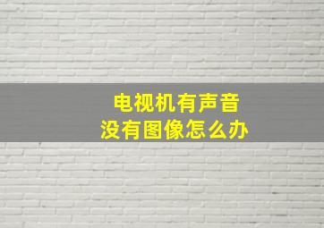 电视机有声音没有图像怎么办