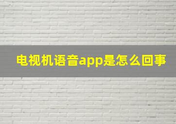 电视机语音app是怎么回事