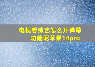 电视看综艺怎么开弹幕功能呢苹果14pro