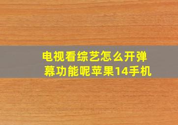 电视看综艺怎么开弹幕功能呢苹果14手机