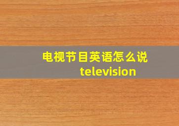 电视节目英语怎么说television