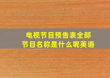 电视节目预告表全部节目名称是什么呢英语