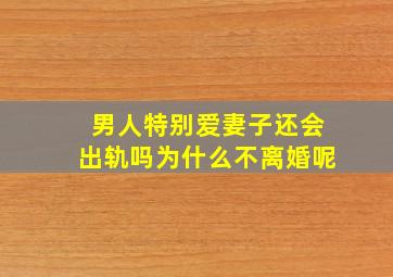 男人特别爱妻子还会出轨吗为什么不离婚呢