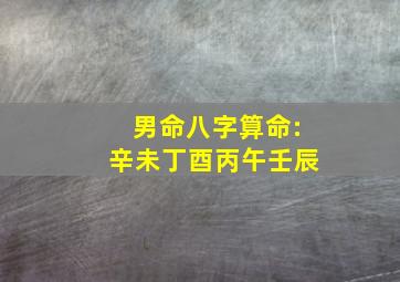 男命八字算命:辛未丁酉丙午壬辰