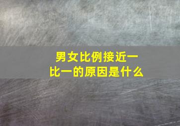 男女比例接近一比一的原因是什么