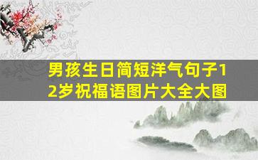 男孩生日简短洋气句子12岁祝福语图片大全大图