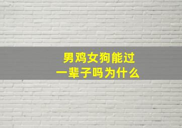 男鸡女狗能过一辈子吗为什么