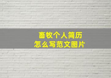 畜牧个人简历怎么写范文图片