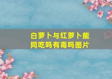 白萝卜与红萝卜能同吃吗有毒吗图片