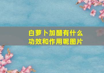 白萝卜加醋有什么功效和作用呢图片