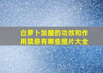 白萝卜加醋的功效和作用禁忌有哪些图片大全