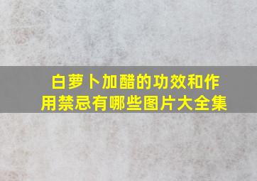 白萝卜加醋的功效和作用禁忌有哪些图片大全集