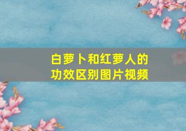 白萝卜和红萝人的功效区别图片视频