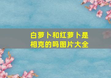 白萝卜和红萝卜是相克的吗图片大全