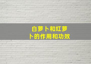 白萝卜和红萝卜的作用和功效