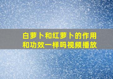 白萝卜和红萝卜的作用和功效一样吗视频播放