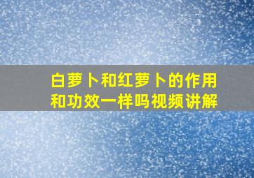 白萝卜和红萝卜的作用和功效一样吗视频讲解