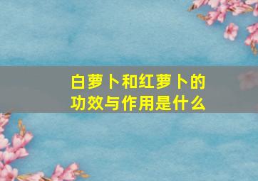 白萝卜和红萝卜的功效与作用是什么