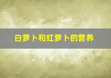 白萝卜和红萝卜的营养