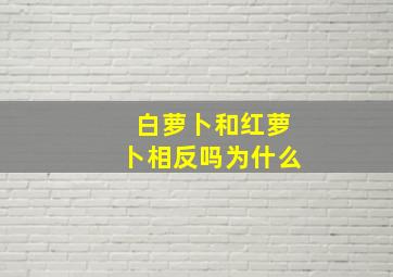 白萝卜和红萝卜相反吗为什么