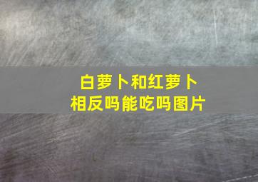 白萝卜和红萝卜相反吗能吃吗图片