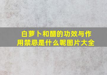 白萝卜和醋的功效与作用禁忌是什么呢图片大全