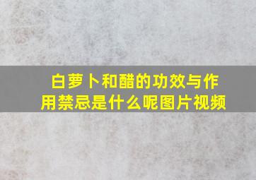 白萝卜和醋的功效与作用禁忌是什么呢图片视频