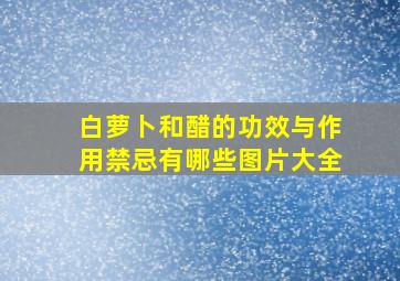 白萝卜和醋的功效与作用禁忌有哪些图片大全