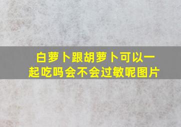 白萝卜跟胡萝卜可以一起吃吗会不会过敏呢图片