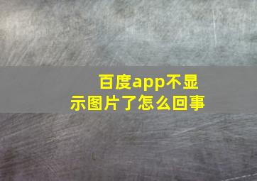 百度app不显示图片了怎么回事