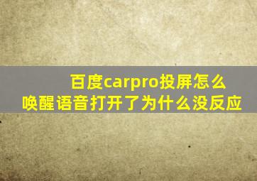 百度carpro投屏怎么唤醒语音打开了为什么没反应