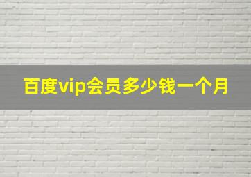 百度vip会员多少钱一个月