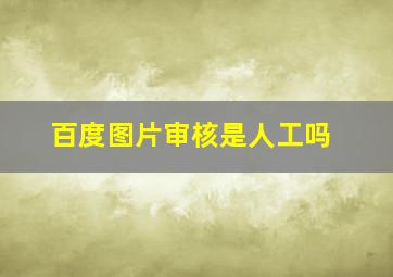 百度图片审核是人工吗