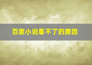 百度小说看不了的原因