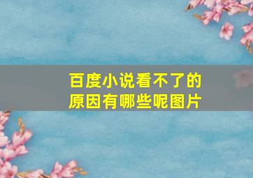 百度小说看不了的原因有哪些呢图片