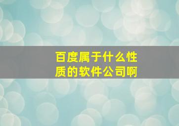 百度属于什么性质的软件公司啊