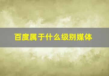 百度属于什么级别媒体