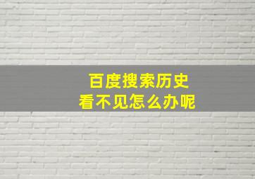 百度搜索历史看不见怎么办呢