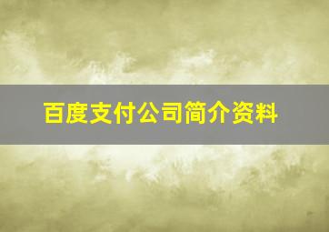 百度支付公司简介资料