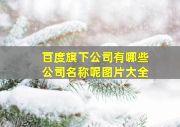 百度旗下公司有哪些公司名称呢图片大全