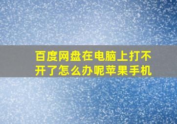 百度网盘在电脑上打不开了怎么办呢苹果手机