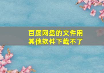 百度网盘的文件用其他软件下载不了