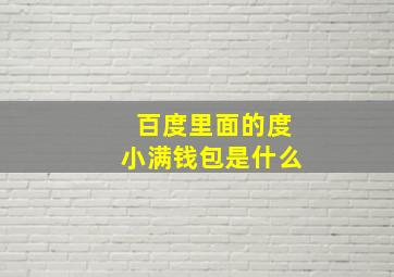 百度里面的度小满钱包是什么