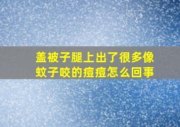 盖被子腿上出了很多像蚊子咬的痘痘怎么回事