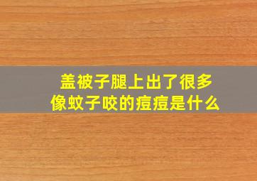 盖被子腿上出了很多像蚊子咬的痘痘是什么