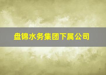 盘锦水务集团下属公司