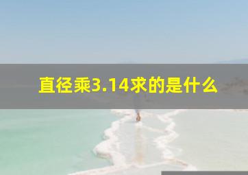 直径乘3.14求的是什么